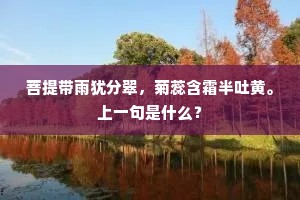 菩提带雨犹分翠，菊蕊含霜半吐黄。上一句是什么？