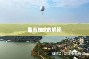 睹着知微的解释