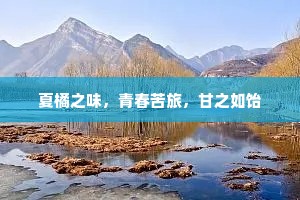 夏橘之味，青春苦旅，甘之如饴