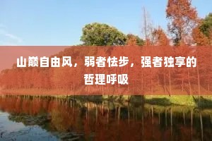 山巅自由风，弱者怯步，强者独享的哲理呼吸