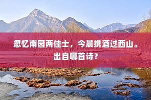 忽忆南园两佳士，今晨携酒过西山。出自哪首诗？