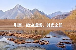 引言，微尘成塔，时光之印