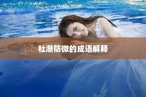 杜渐防微的成语解释