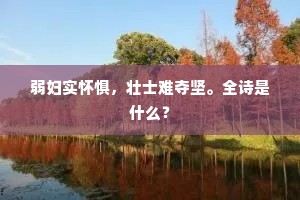 弱妇实怀惧，壮士难夺坚。全诗是什么？