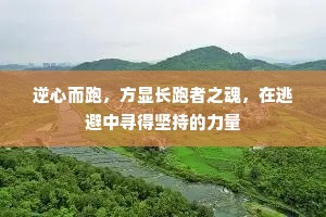 逆心而跑，方显长跑者之魂，在逃避中寻得坚持的力量