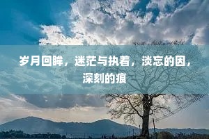 岁月回眸，迷茫与执着，淡忘的因，深刻的痕