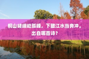 桐山嵯峨屹孤峰，下瞰江水当奔冲。出自哪首诗？
