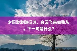 夕阳渺渺随征鸿，白云飞来如我从。下一句是什么？