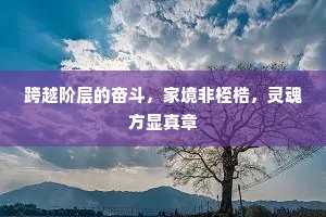 跨越阶层的奋斗，家境非桎梏，灵魂方显真章