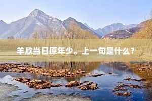羊欣当日原年少。上一句是什么？