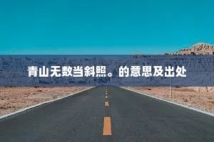 青山无数当斜照。的意思及出处