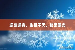 逆境逢春，生机不灭，终见曙光