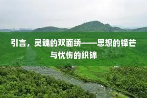 引言，灵魂的双面绣——思想的锋芒与忧伤的织锦