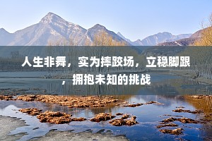 人生非舞，实为摔跤场，立稳脚跟，拥抱未知的挑战