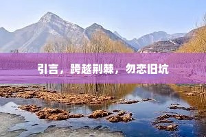 引言，跨越荆棘，勿恋旧坑