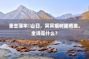 重击蒲牢唅山日，冥冥烟树睹栖禽。全诗是什么？