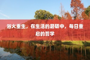 浴火重生，在生活的磨砺中，每日重启的哲学