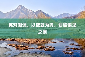 笑对嘲讽，以成就为刃，划破偏见之网