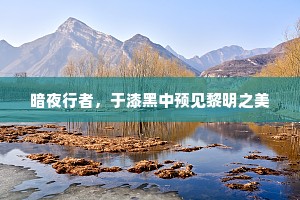 暗夜行者，于漆黑中预见黎明之美