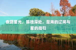 夜路星光，孤独深处，是海的辽阔与星的指引