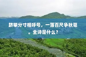 跻攀分寸相呼号，一落百尺争秋毫。全诗是什么？