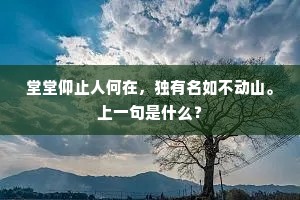 堂堂仰止人何在，独有名如不动山。上一句是什么？