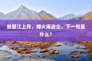 鼓鼙江上月，烽火海边尘。下一句是什么？