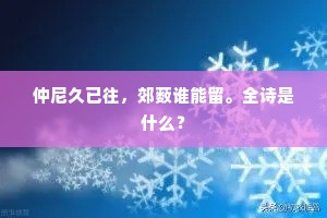 仲尼久已往，郊薮谁能留。全诗是什么？