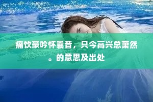 痛饮豪吟怀曩昔，只今高兴总萧然。的意思及出处