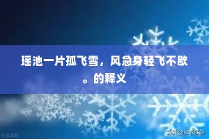 瑶池一片孤飞雪，风急身轻飞不歇。的释义