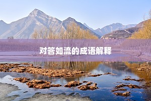 对答如流的成语解释