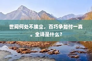 世间何处不埃尘，百巧争如付一真。全诗是什么？
