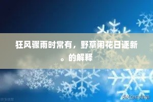狂风骤雨时常有，野草闲花日逐新。的解释