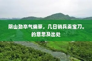 阴山劲卒气偏豪，几日销兵卖宝刀。的意思及出处