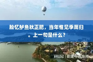 脍忆鲈鱼秋正肥，当年惟见季鹰归。上一句是什么？