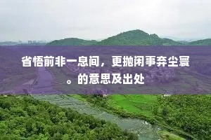 省悟前非一息间，更抛闲事弃尘寰。的意思及出处