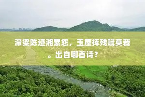 濠梁陈迹湘累怨，玉麈挥残赋莫裁。出自哪首诗？