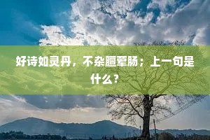好诗如灵丹，不杂膻荤肠；上一句是什么？
