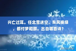 兴亡过耳。任北雪迷空，东风换绿，都付梦和醉。出自哪首诗？