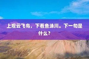 上观云飞鸟，下看鱼泳川。下一句是什么？