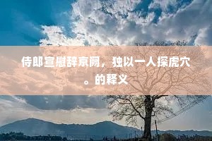 侍郎宣慰辞京阙，独以一人探虎穴。的释义