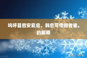 呜呼县官安复危，韩愈可惜知者谁。的解释