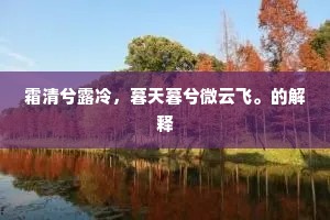 霜清兮露冷，暮天暮兮微云飞。的解释