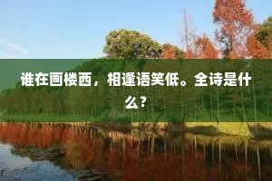 谁在画楼西，相逢语笑低。全诗是什么？