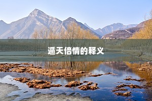 遁天倍情的释义