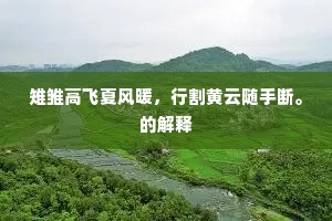 雉雏高飞夏风暖，行割黄云随手断。的解释