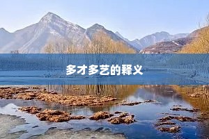 多才多艺的释义