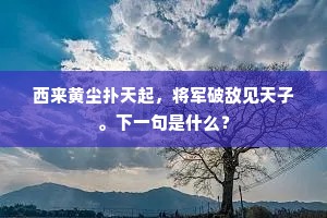西来黄尘扑天起，将军破敌见天子。下一句是什么？