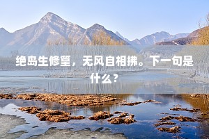 绝岛生修篁，无风自相拂。下一句是什么？