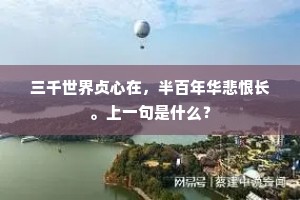 三千世界贞心在，半百年华悲恨长。上一句是什么？